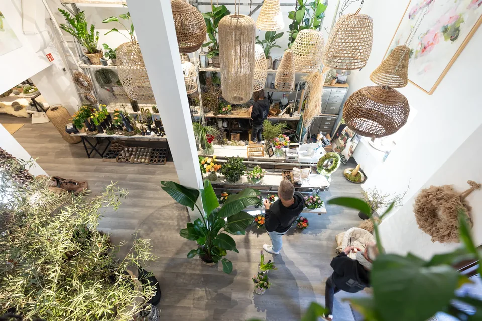 Blick von der Galerie auf die Verkaufsfläche mit Korblampen und Pflanzen